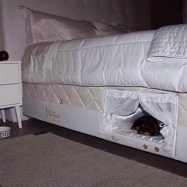 Matelas permettant à votre chien de dormir.